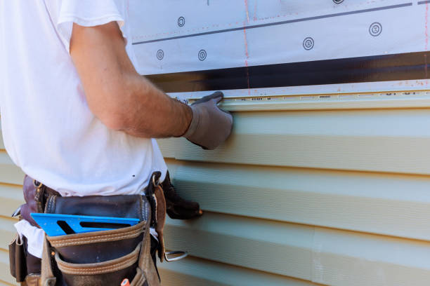 Affordable Siding Replacement solutions in Ebony, VA
